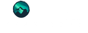 Northern Territory Lighting logo